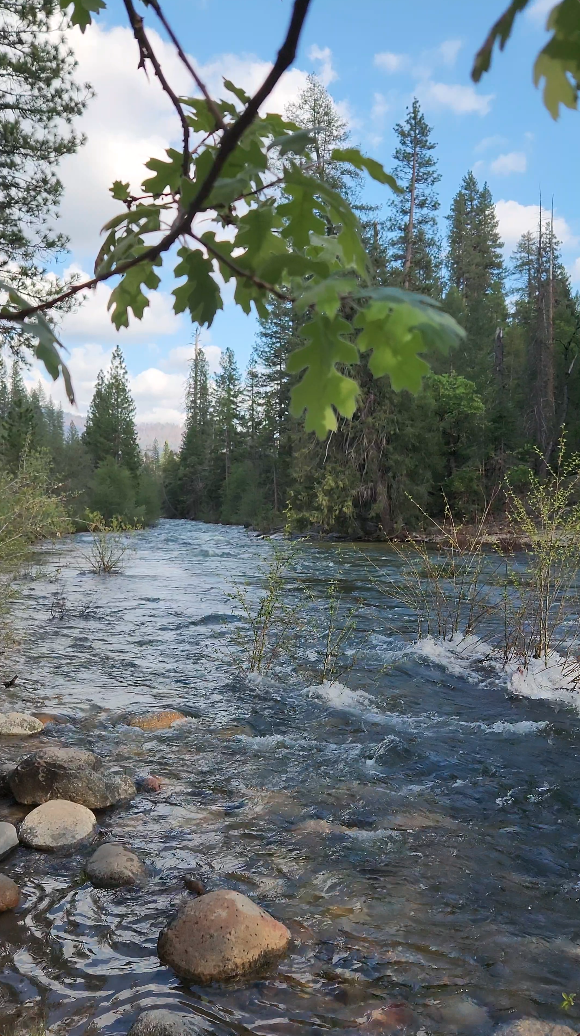 yosemiteriver.png